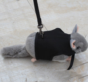 The Ultimate Small Pet Walking Leash Lead