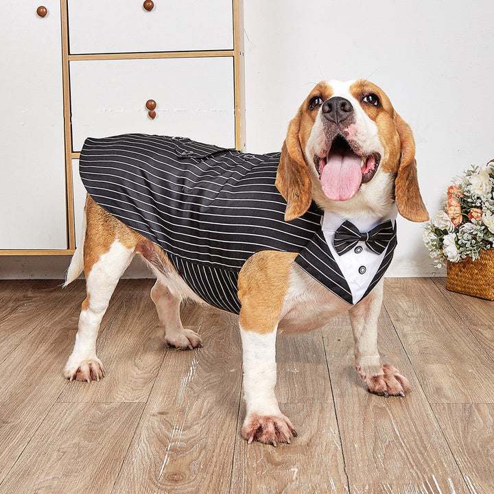Elevate Your Pet's Style with the Swallowtail Wedding Suit