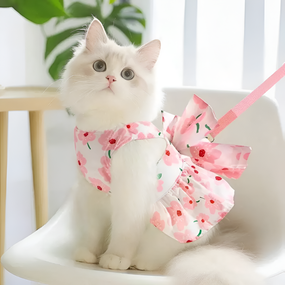 Stylish Pet Apparel for Every Occasion