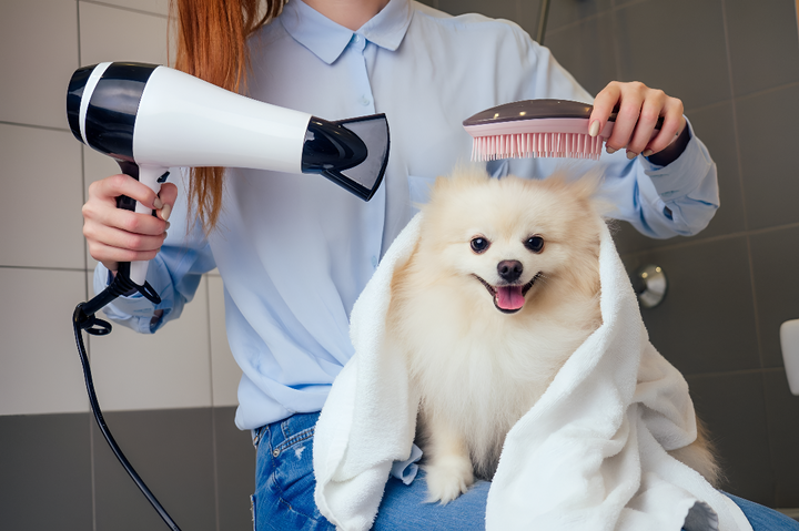 Essential Grooming Tools for Healthy Pets