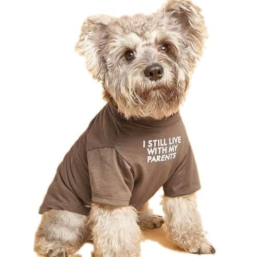 Round Neck Pet T Shirt Apparel
