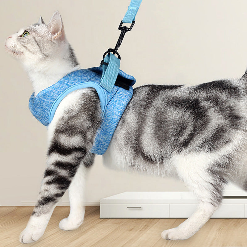 Breathable Lightweight Lace Pet Chest Harness Leash