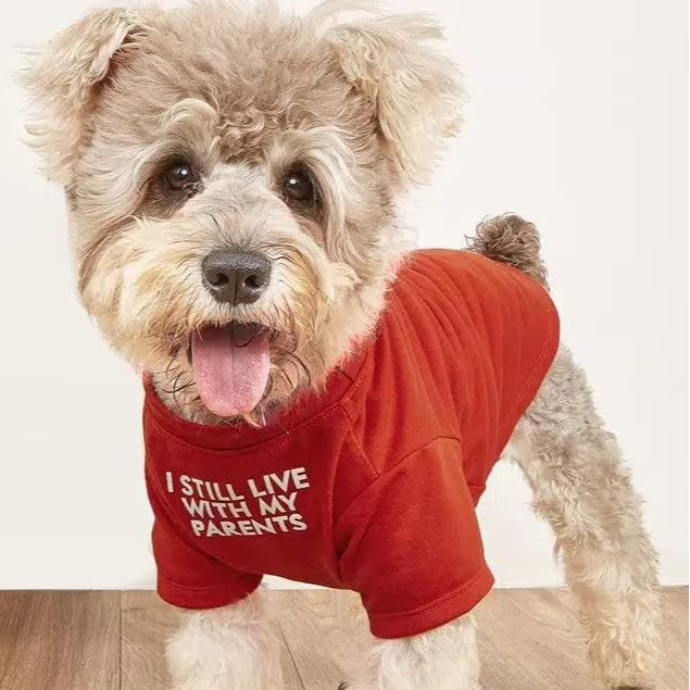 Round Neck Pet T Shirt Apparel