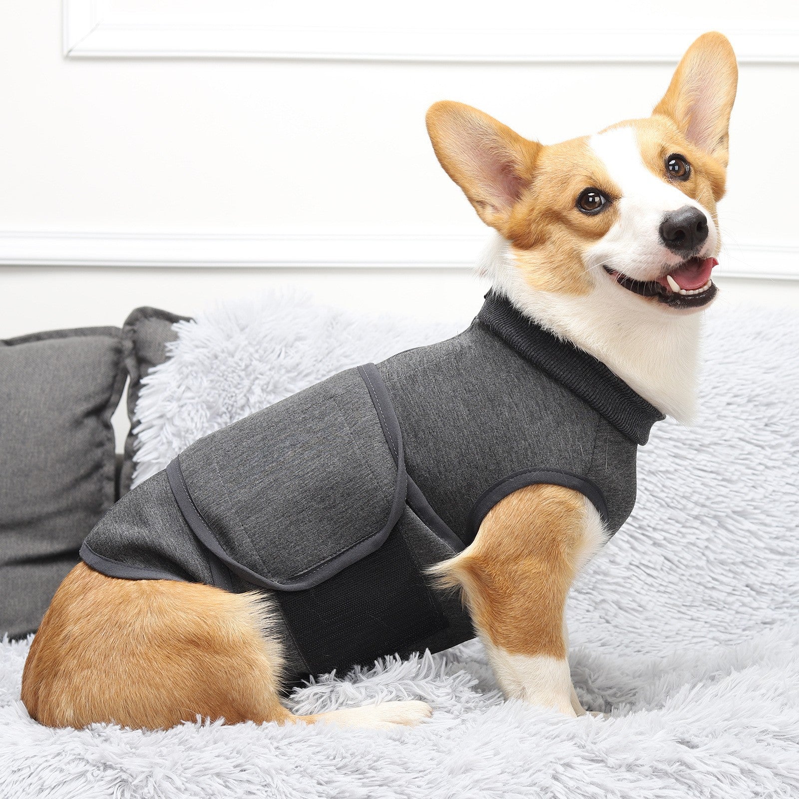 Comfort Cotton Polyester Double Layer Pet Jacket Apparel