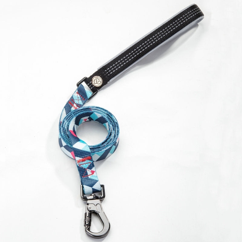 Pet Leash For Secure Walking And Training