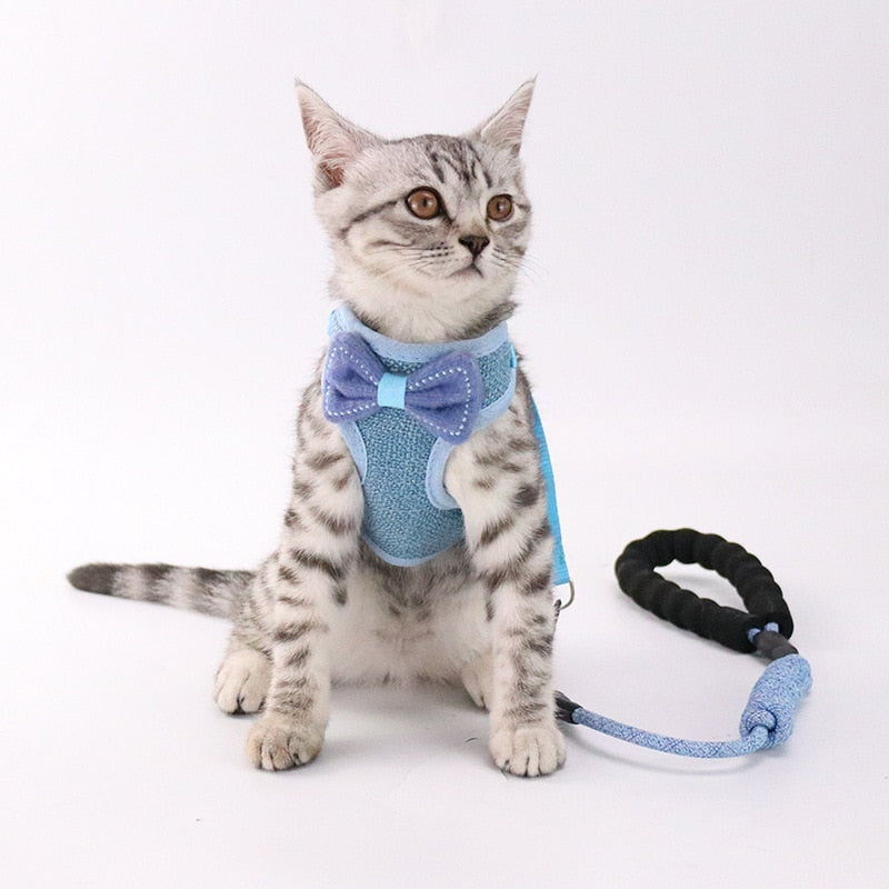 Pet Chest And Back Harness Leash Set