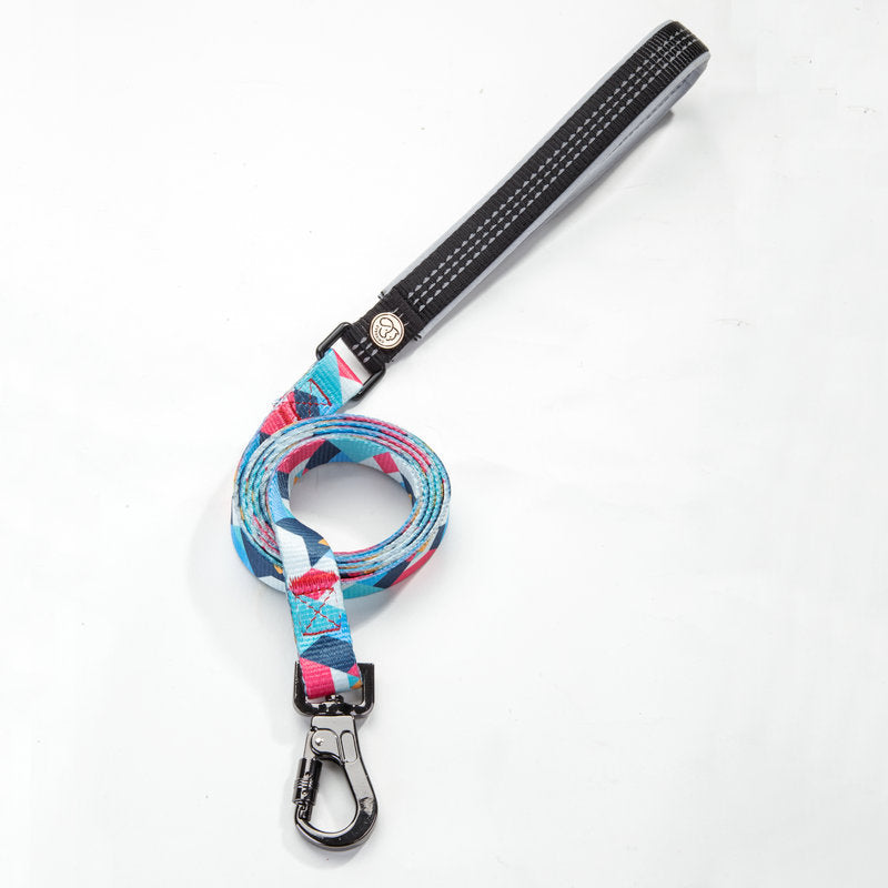 Pet Leash For Secure Walking And Training