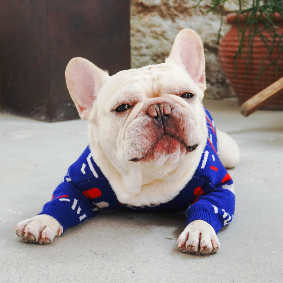 Cozy Pet Sweater Warm Clothing Apparel