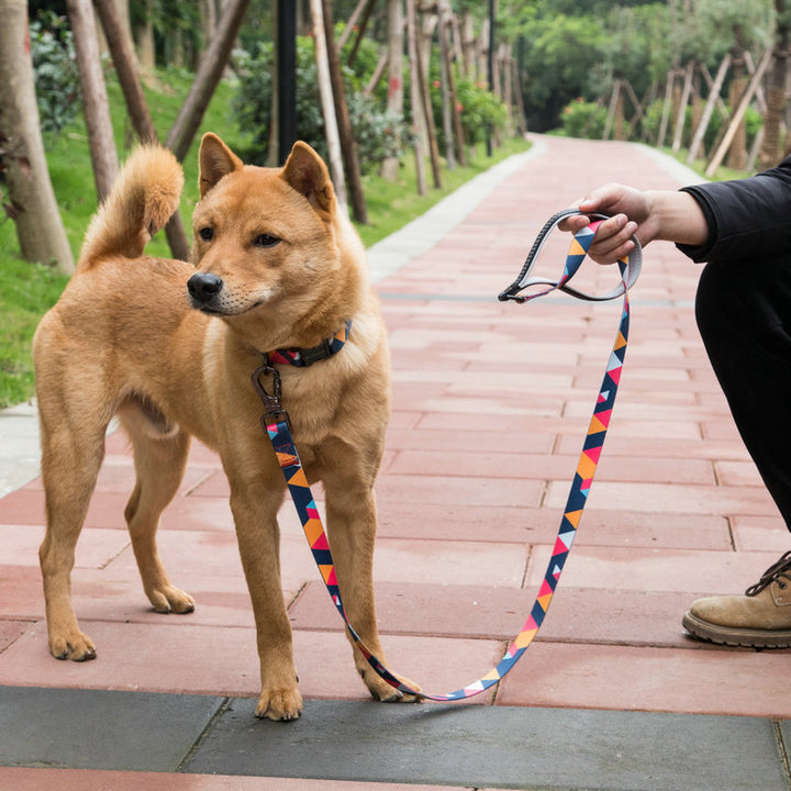 Pet Leash For Secure Walking And Training