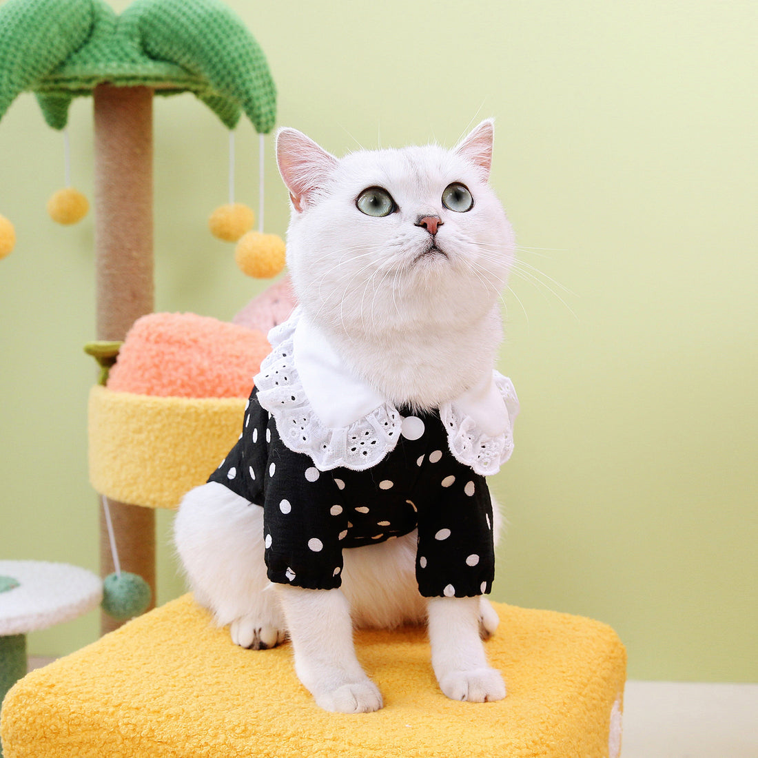 Blue Pet T Shirt Apparel