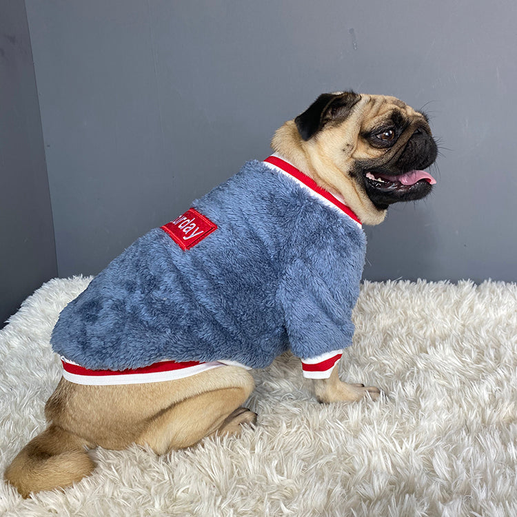 Cozy Pet Sweater Apparel