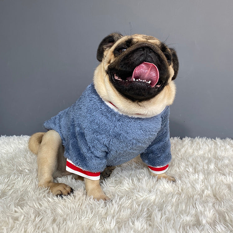 Cozy Pet Sweater Apparel