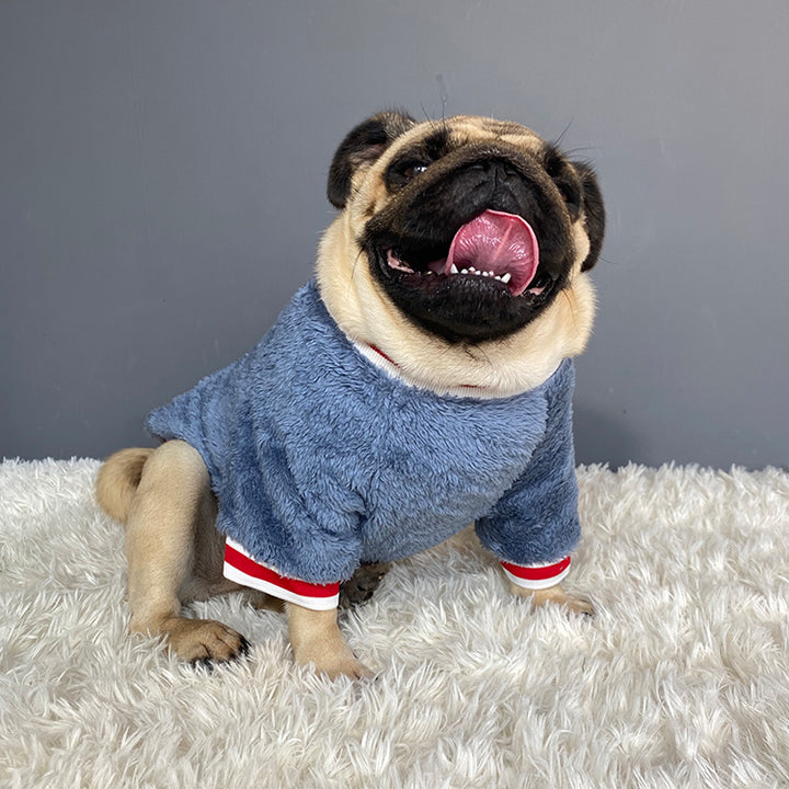 Cozy Pet Sweater Apparel