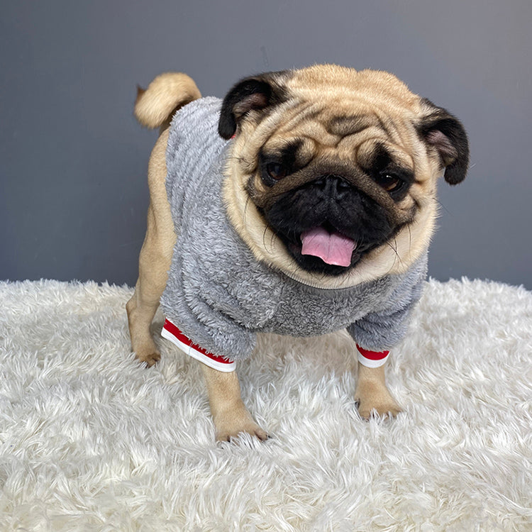 Cozy Pet Sweater Apparel