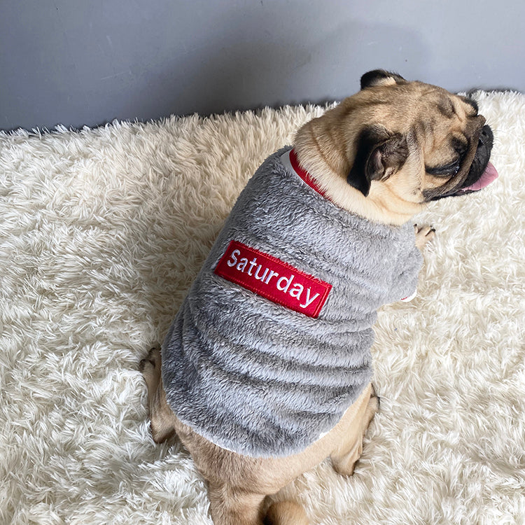 Cozy Pet Sweater Apparel