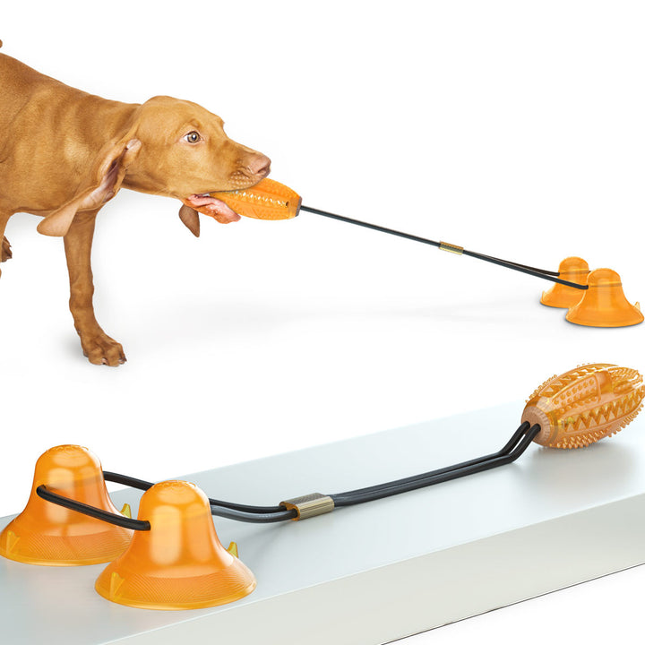 Multifunction Pet Tug Rope Ball Toy With Suction Cup