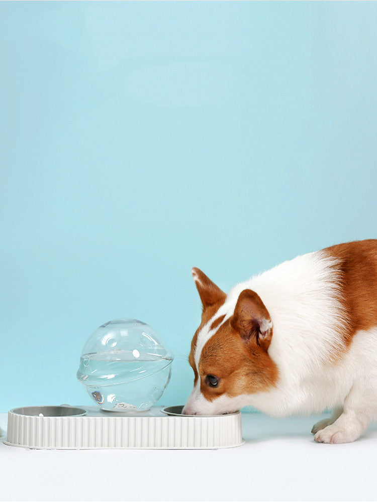 Automatic Pet Plastic Feeder Water And Food Bowl