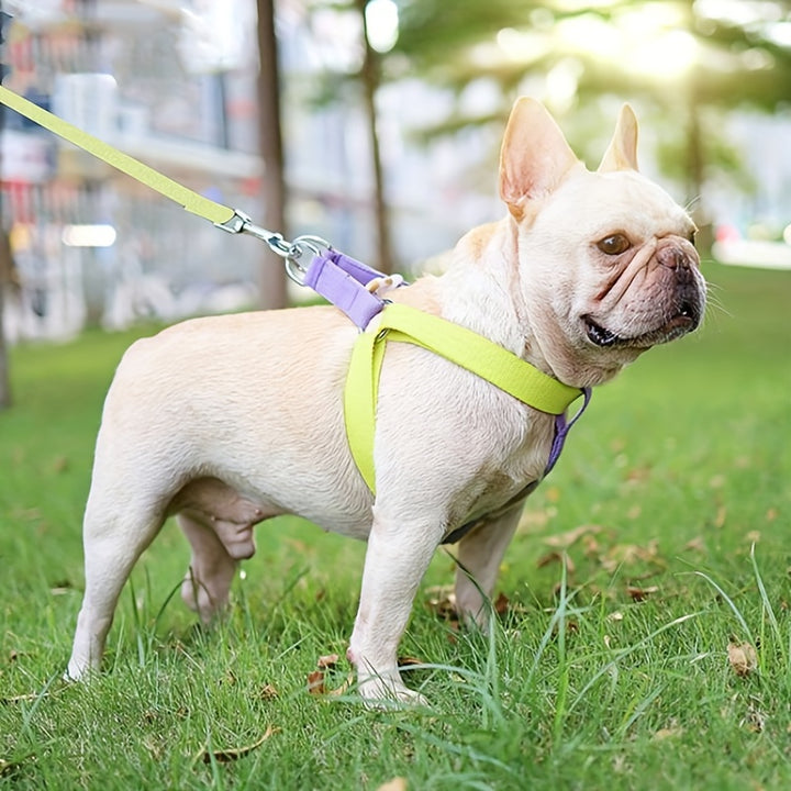 Rainbow Colorblock Anti Escape Pet Harness Vest Leash Set