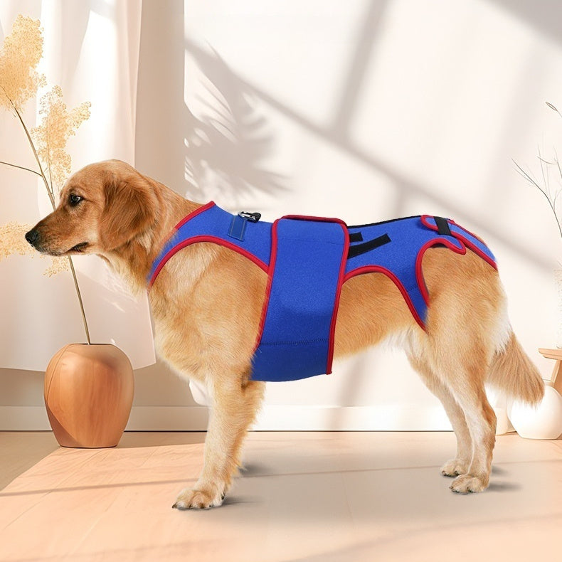 Pet Spine Support Posture Corrector Jacket Apparel