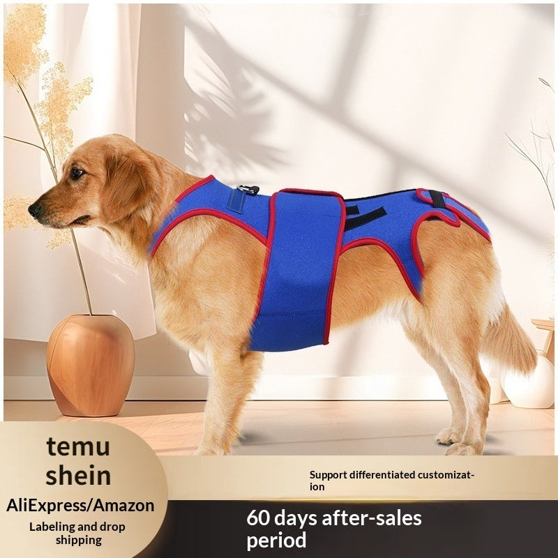 Pet Spine Support Posture Corrector Jacket Apparel