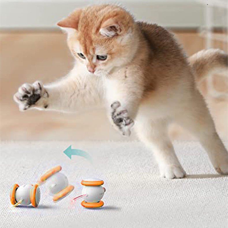 Electric Intelligent Rechargeable Pet Teasing Toy