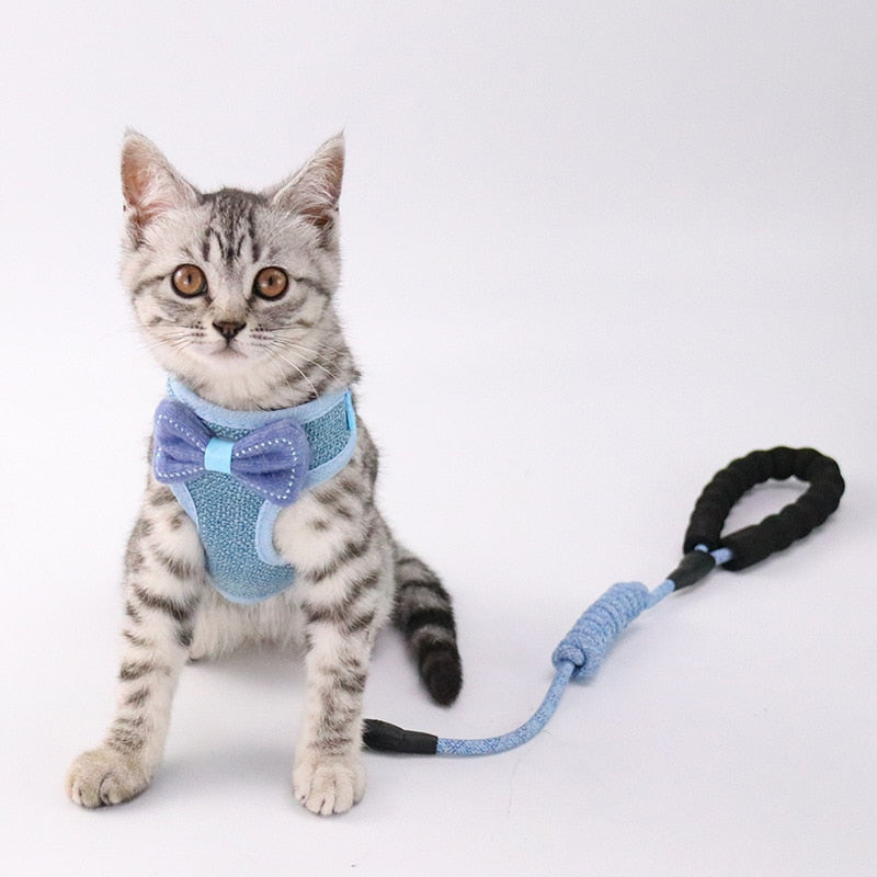 Pet Chest And Back Harness Leash Set