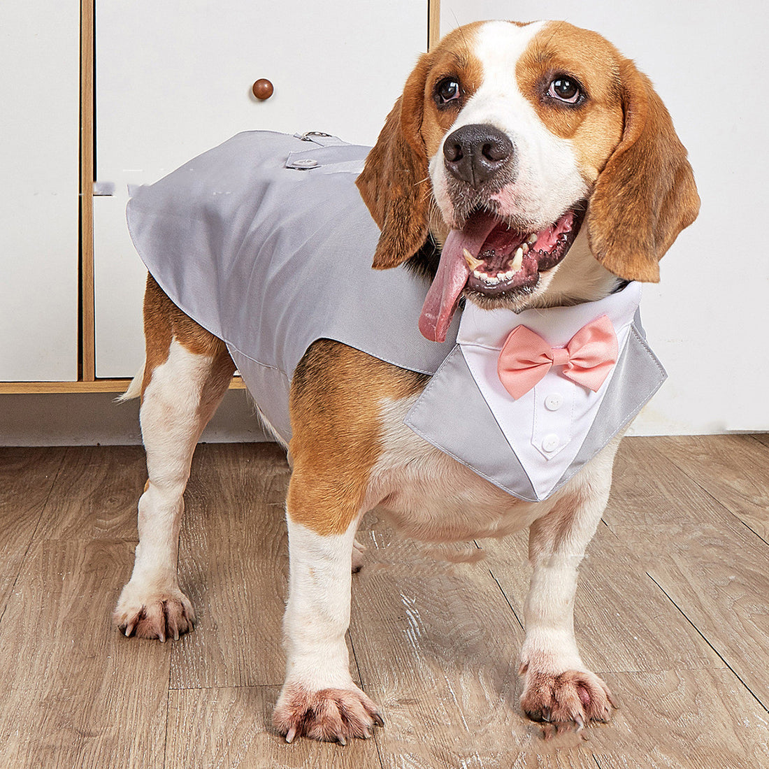 Swallowtail Wedding Suit Pet Formal Jacket Apparel