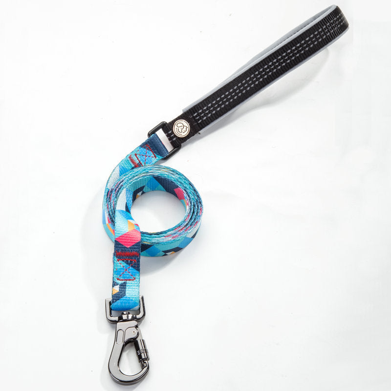 Pet Leash For Secure Walking And Training