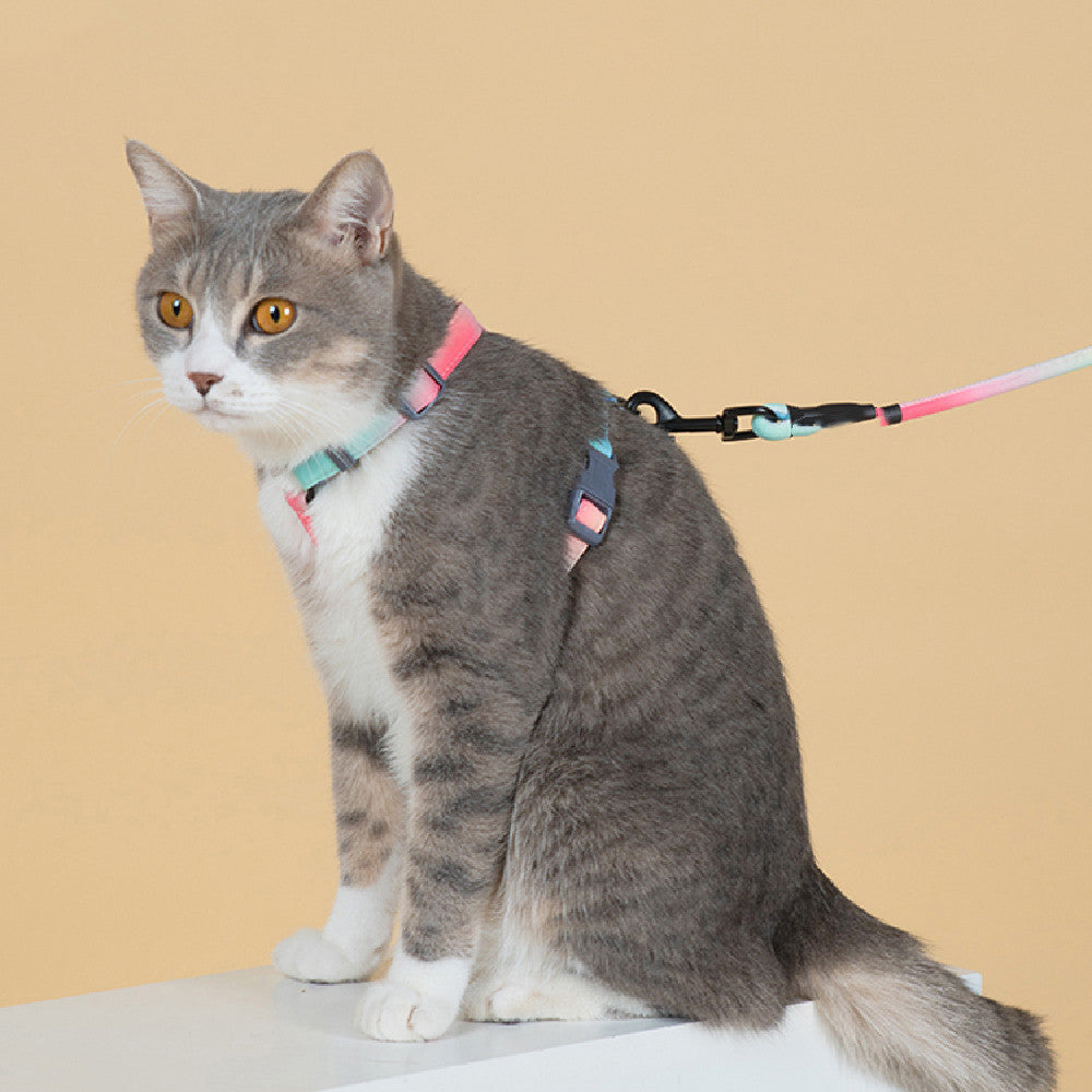 Fashion Pet Anti Escape Leash Harness Set