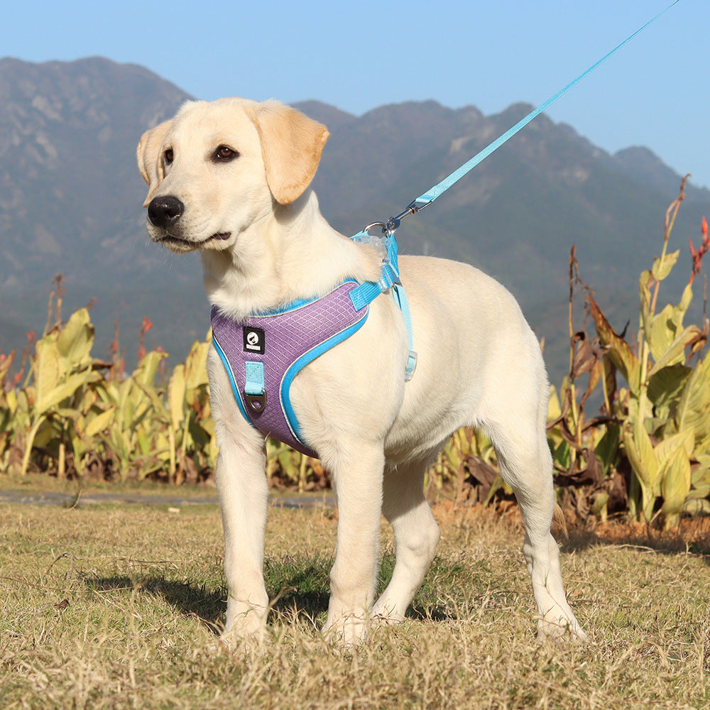 Breathable Adjustable Pet Harness Leash Set