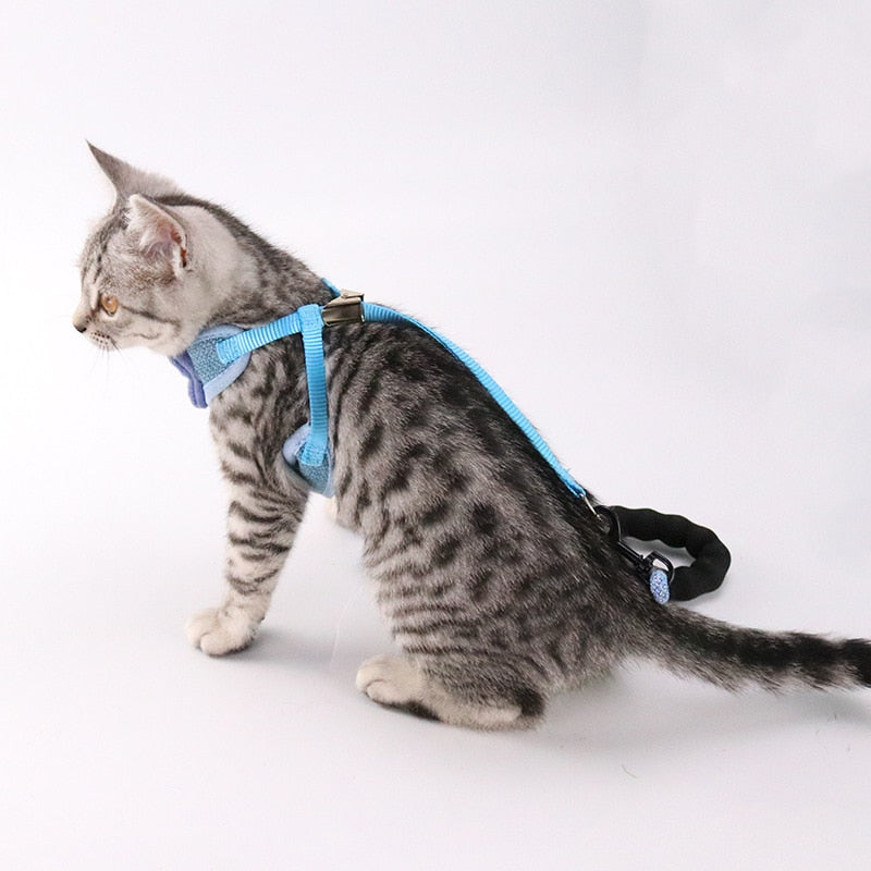 Pet Chest And Back Harness Leash Set