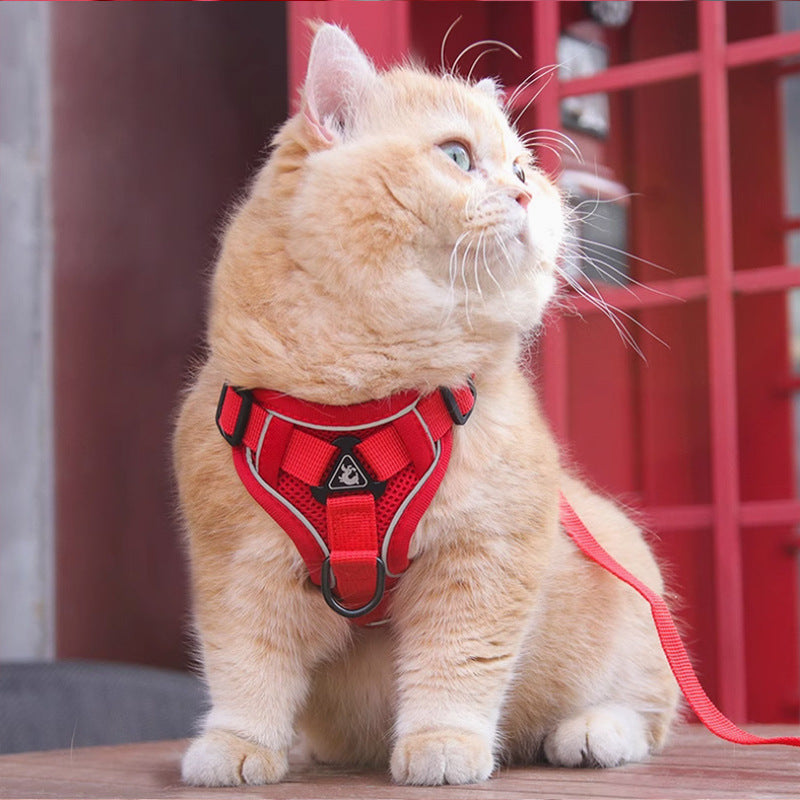 Pet Harness Vest Chest Strap Leash Set