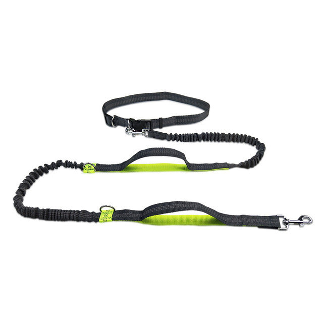 Adjustable Pet Harness Collar Jogging Leash Set