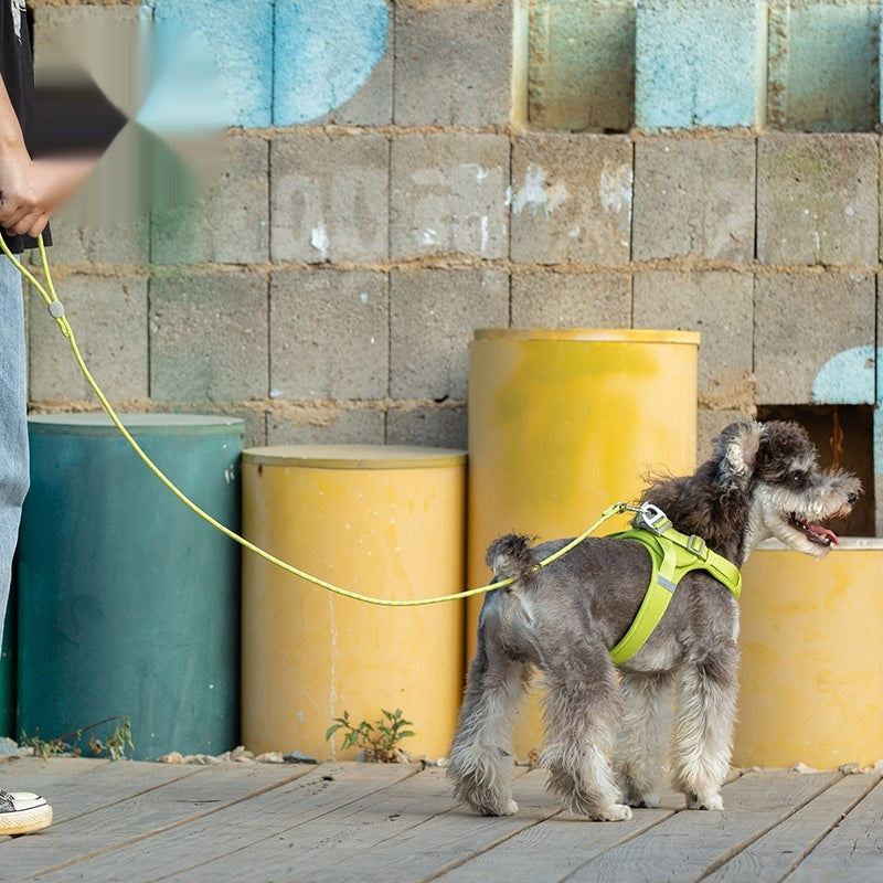 Adjustable Sliding Colorful Pet Leash Rope