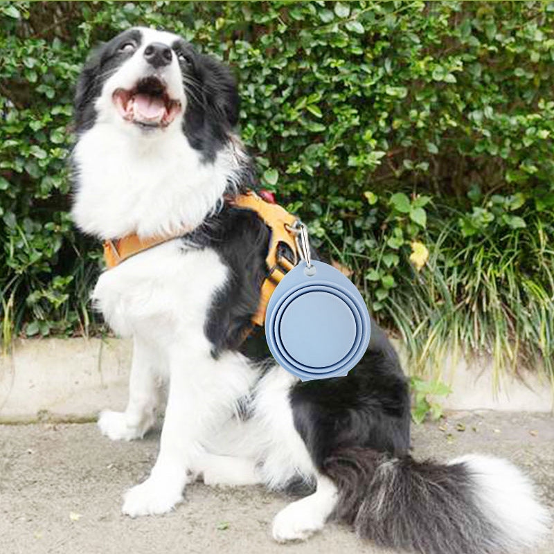 Portable Foldable Silicone Pet Feeding Bowl For Travel
