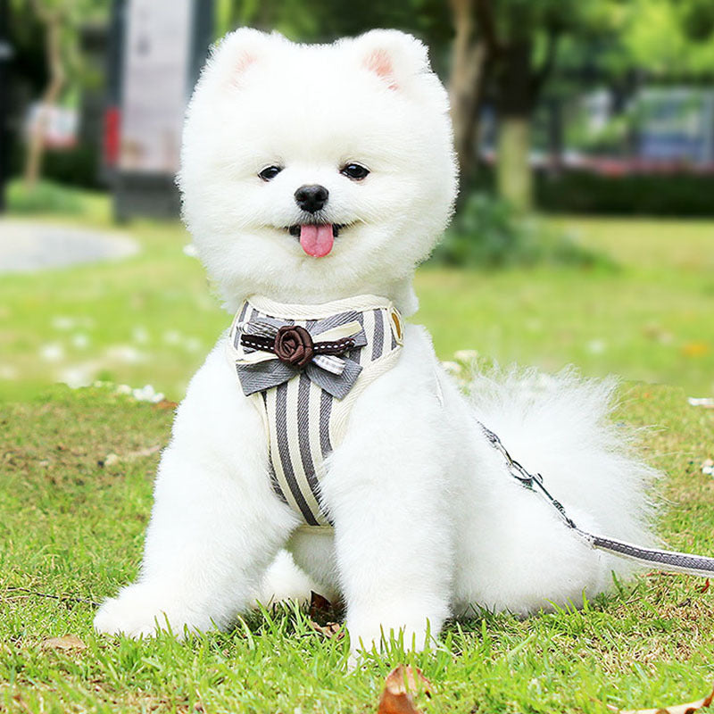 Vest Style Pet Chest Harness Leash Set