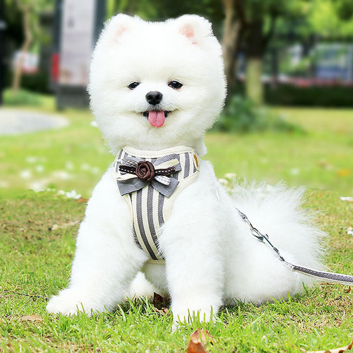 Vest Style Pet Chest Harness Leash Set