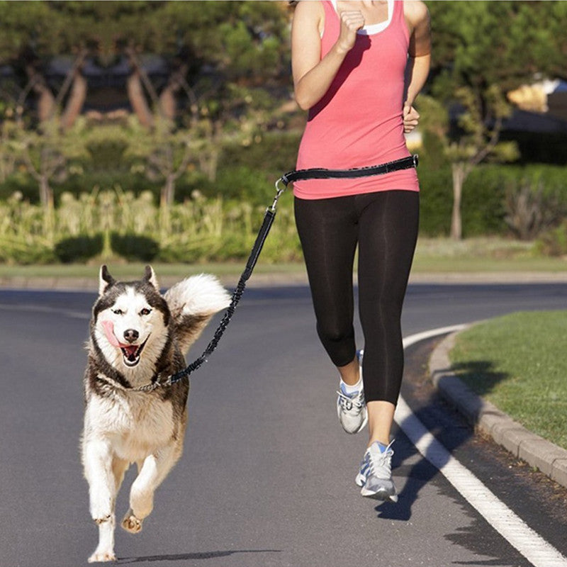 Adjustable Pet Harness Collar Jogging Leash Set