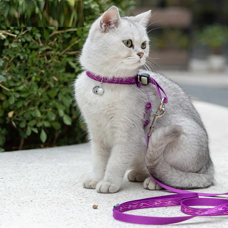 Bell Style Pet Chest Harness Leash Vest Set