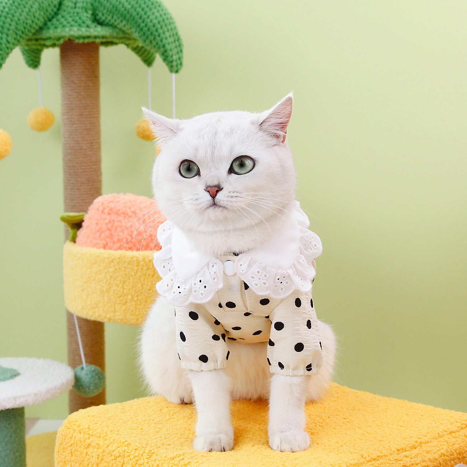 Blue Pet T Shirt Apparel