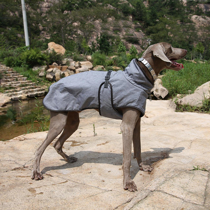Winter Outdoor Ski Style Pet Shell Jacket Apparel