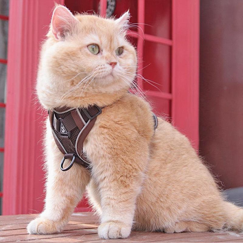 Pet Harness Vest Chest Strap Leash Set