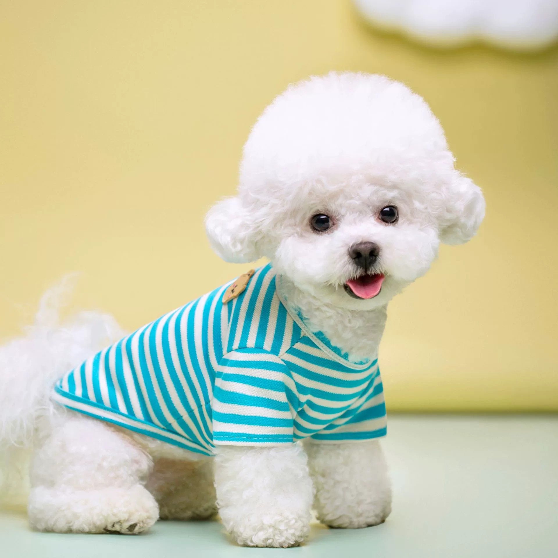 Breathable Summer Pet T Shirt Apparel