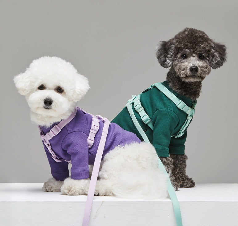 Macaron Style Pet Leash Fashion Lead