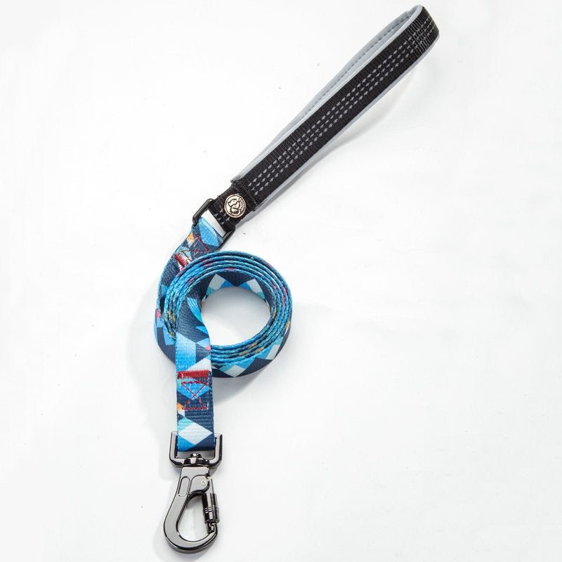 Pet Leash For Secure Walking And Training