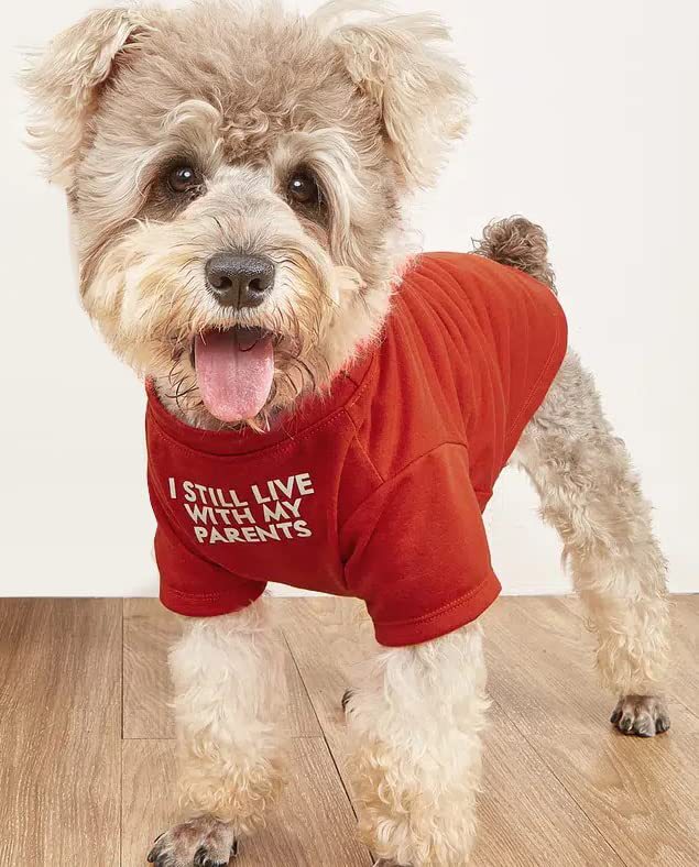 Round Neck Pet T Shirt Apparel