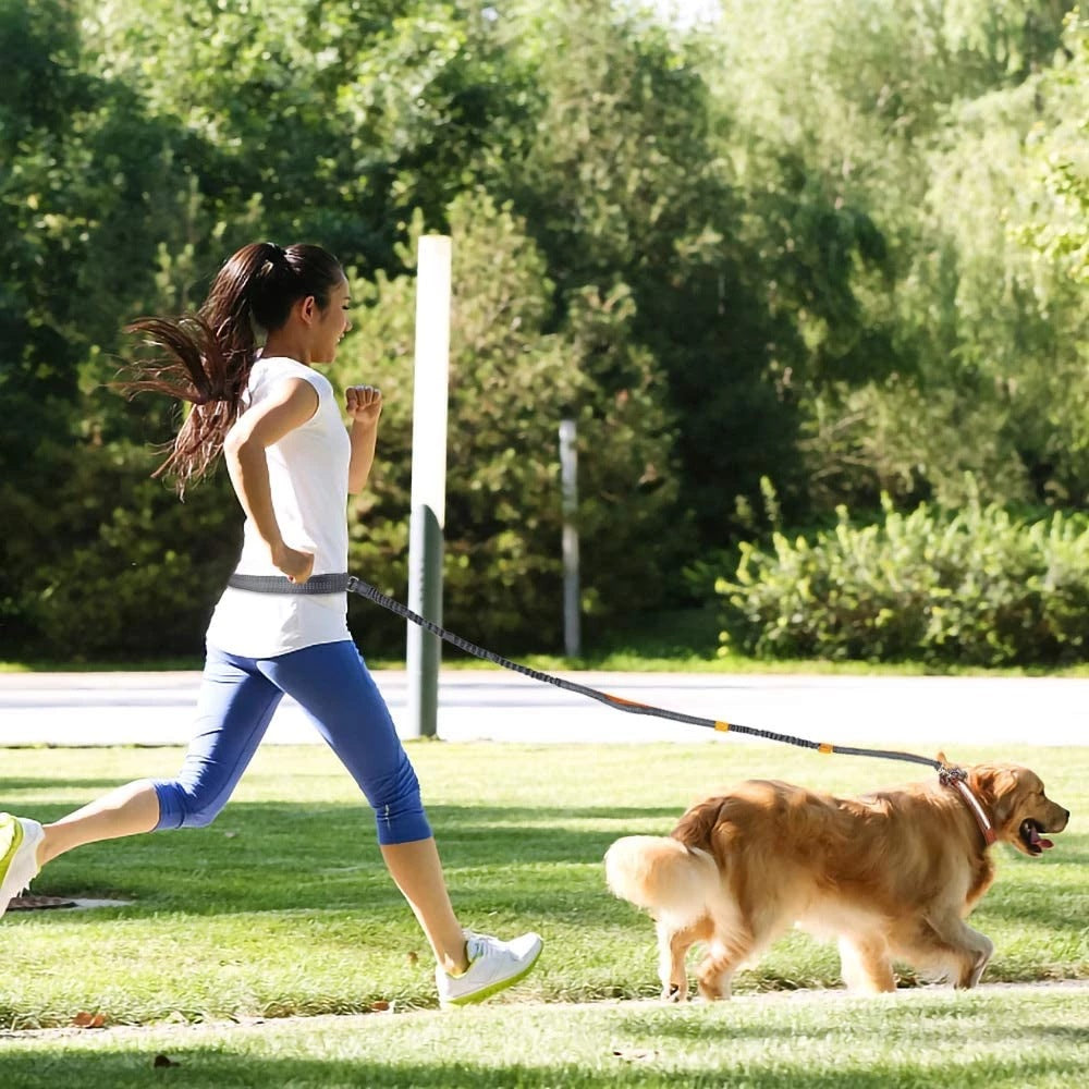 Adjustable Pet Harness Collar Jogging Leash Set