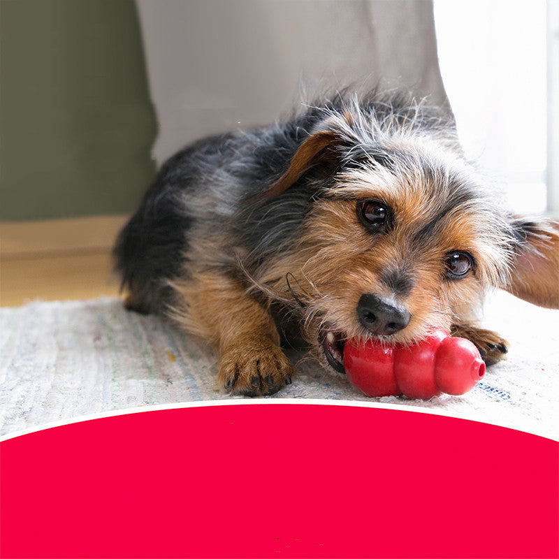 Bite Resistant Rubber Pet Toy For Chewing And Grinding