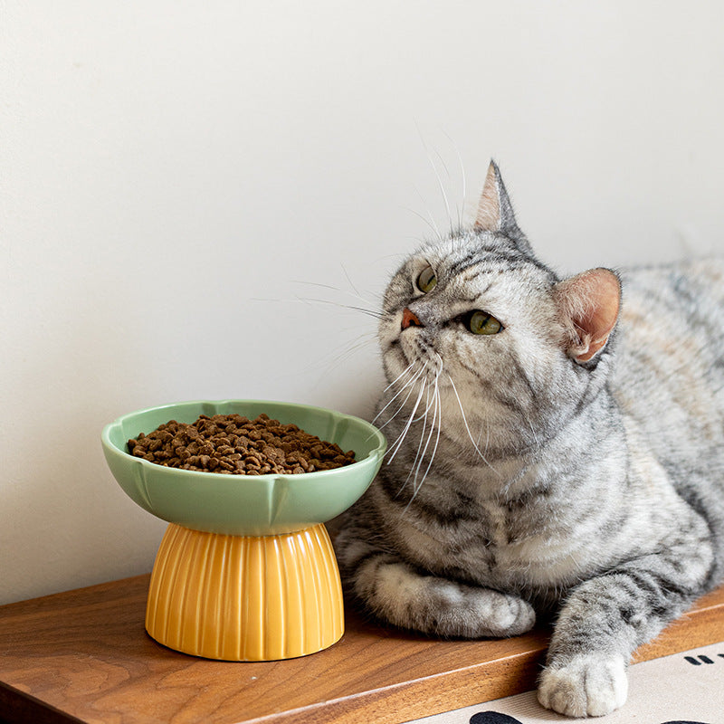 Pet Macaron Style Ceramic Feeding Bowl With Candy Colors