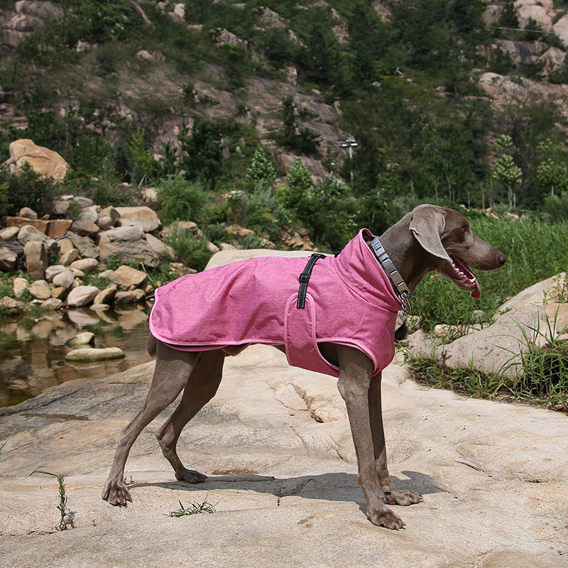Winter Outdoor Ski Style Pet Shell Jacket Apparel